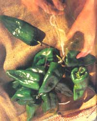 
Peppers have been appreciated for a long time. Remains of these South American natives are found in Peru's prehistoric ruins, and by the time Christopher Columbus reached this continent, they were widely cultivated in both Central and South America and throughout the Caribbean. 
